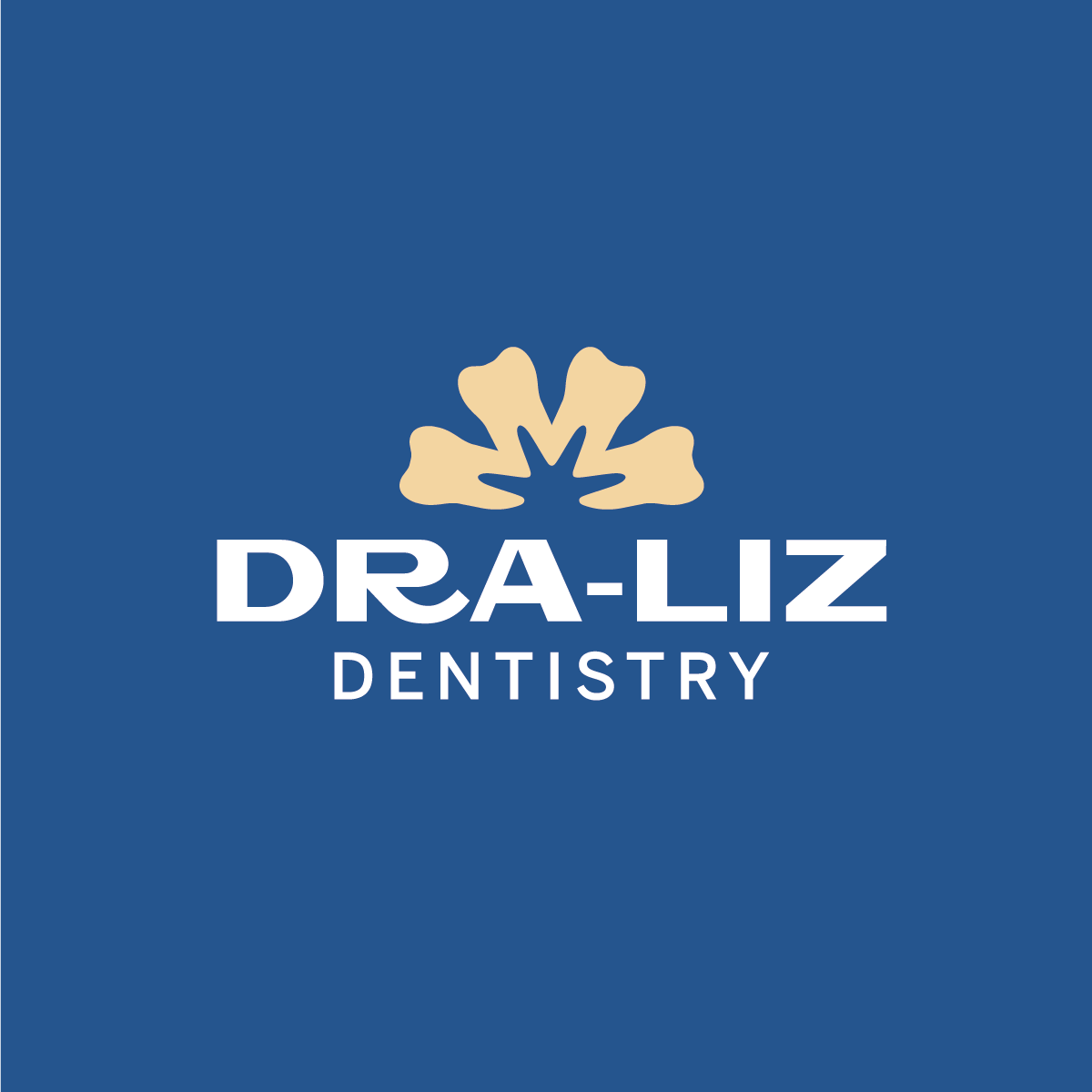Dra. Liz: Identidad visual